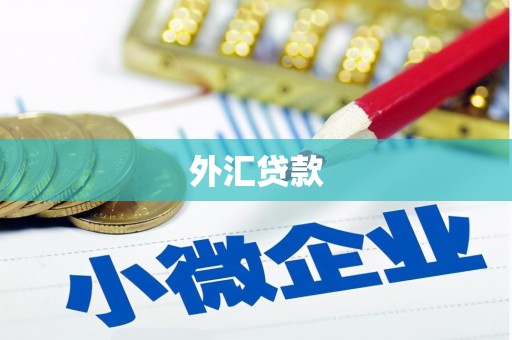 巴彦外汇贷款