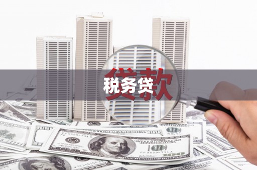 巴彦税务贷