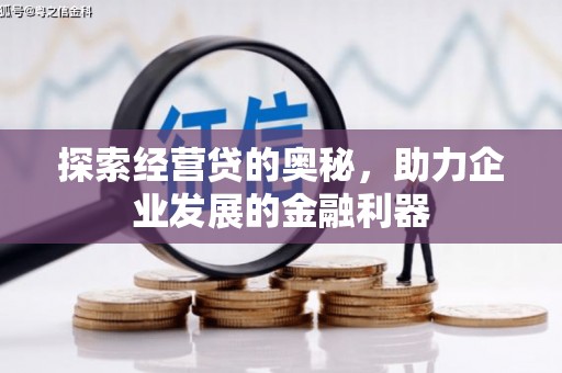 巴彦探索经营贷的奥秘，助力企业发展的金融利器