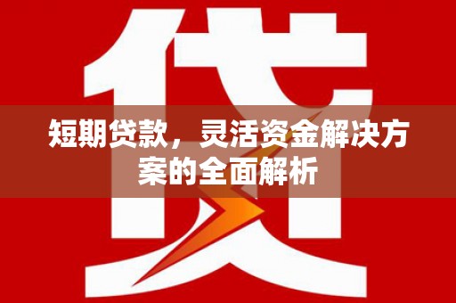 巴彦短期贷款，灵活资金解决方案的全面解析