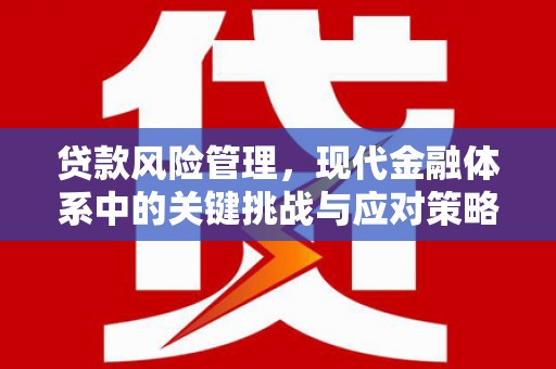 巴彦贷款风险管理，现代金融体系中的关键挑战与应对策略