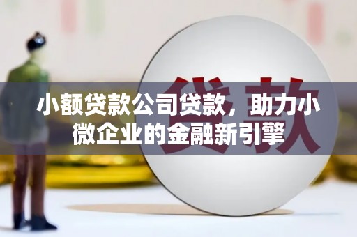 巴彦小额贷款公司贷款，助力小微企业的金融新引擎