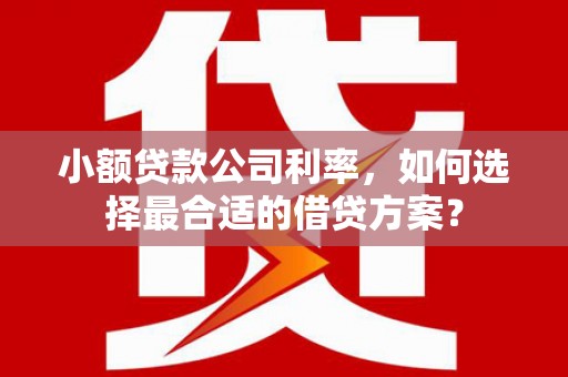 巴彦小额贷款公司利率，如何选择最合适的借贷方案？