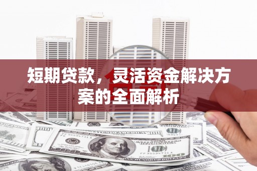 巴彦短期贷款，灵活资金解决方案的全面解析
