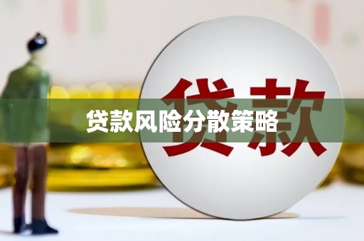 巴彦贷款风险分散策略