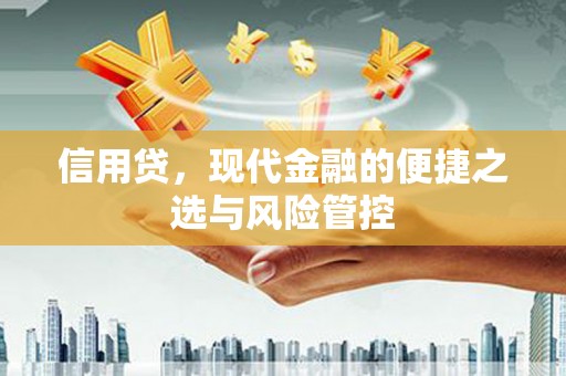 巴彦信用贷，现代金融的便捷之选与风险管控