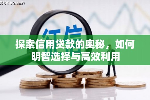 巴彦探索信用贷款的奥秘，如何明智选择与高效利用