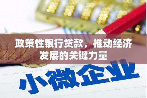 巴彦政策性银行贷款，推动经济发展的关键力量