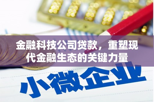 巴彦金融科技公司贷款，重塑现代金融生态的关键力量