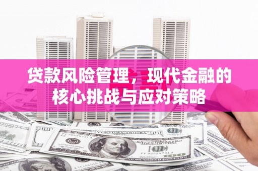 巴彦贷款风险管理，现代金融的核心挑战与应对策略