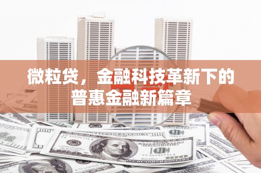 巴彦微粒贷，金融科技革新下的普惠金融新篇章