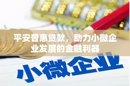 巴彦平安普惠贷款，助力小微企业发展的金融利器