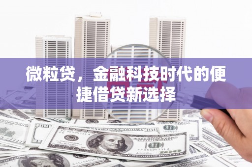 巴彦微粒贷，金融科技时代的便捷借贷新选择