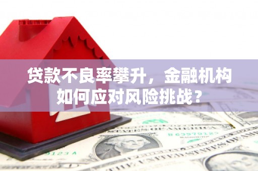 巴彦贷款不良率攀升，金融机构如何应对风险挑战？