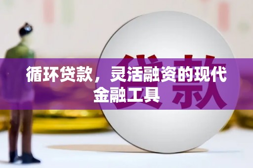巴彦循环贷款，灵活融资的现代金融工具