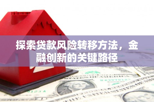 巴彦探索贷款风险转移方法，金融创新的关键路径