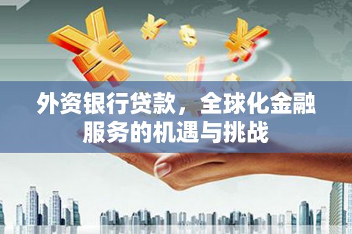 巴彦外资银行贷款，全球化金融服务的机遇与挑战