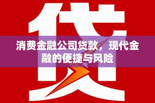 巴彦消费金融公司贷款，现代金融的便捷与风险