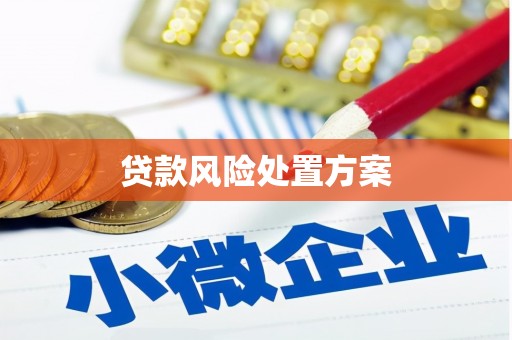 巴彦贷款风险处置方案