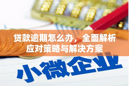 巴彦贷款逾期怎么办，全面解析应对策略与解决方案