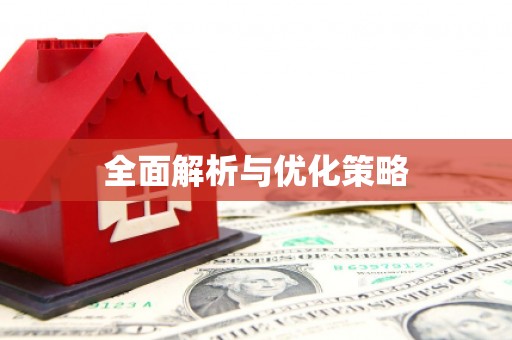 巴彦全面解析与优化策略