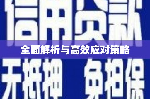 巴彦全面解析与高效应对策略